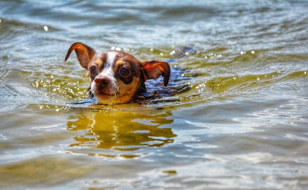 Quelles clés pour débuter en tant que professeur de méditation ?