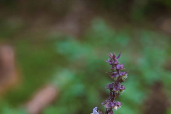 Quelles astuces pour réduire la consommation de papier à la maison ?